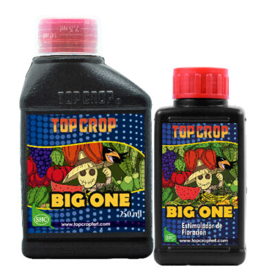 Top Crop – Big One