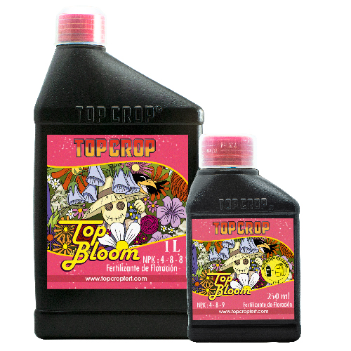 Top Crop - Top Bloom