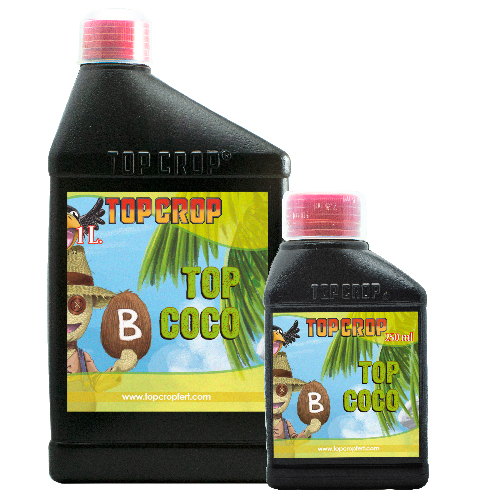 imagen de top crop coco b