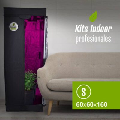 Bellavita – Carpa 60