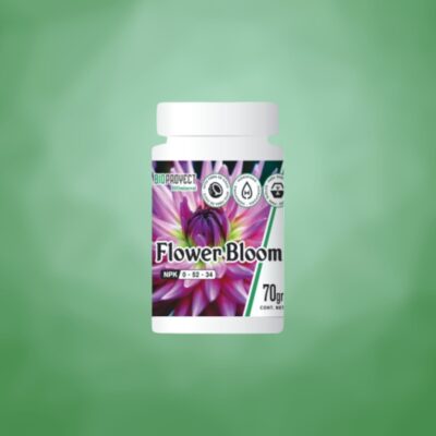 Bioproyect – Flower Bloom