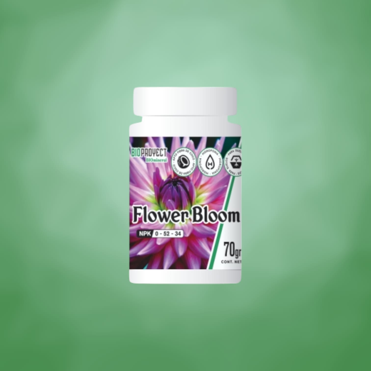 imagen de flower bloom