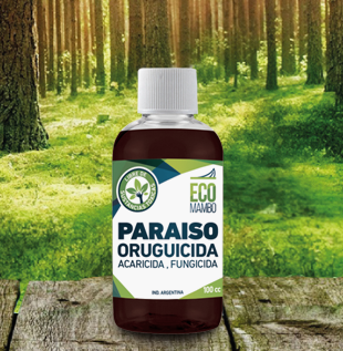 Ecomambo – Paraíso