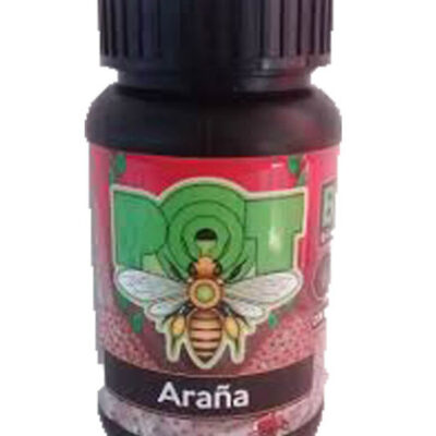 Pot – Araña