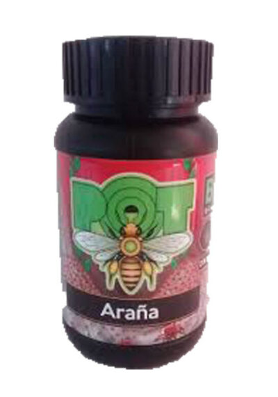 Pot - Araña