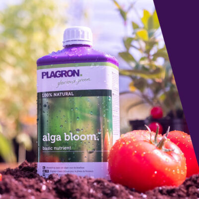 Plagron – Alga Bloom (Orgánico)