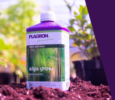 Plagron - Alga Grow (Orgánico)