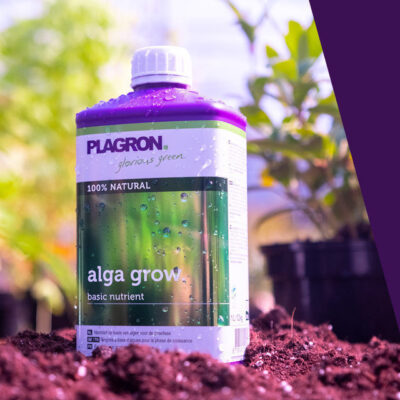 Plagron - Alga Grow (Orgánico)