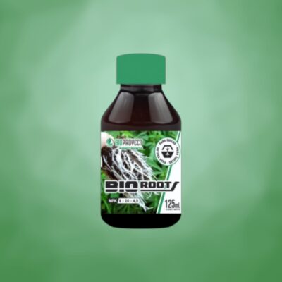 Bioproyect - Bioroots