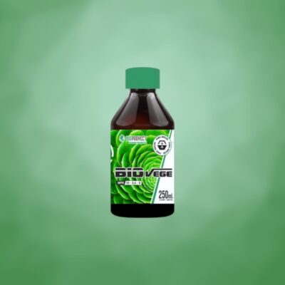 Bioproyect – Biovege