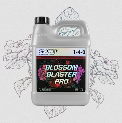 imagen de blossom blaster pro