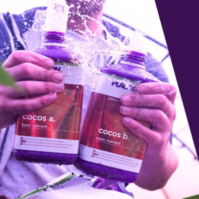 Plagron – Coco A + B