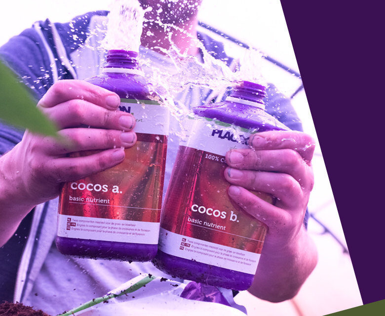 Plagron - Coco A + B