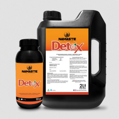Namaste – Detox