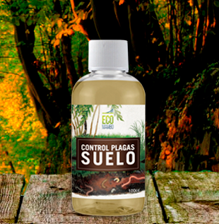Ecomambo – Control Plagas Suelo