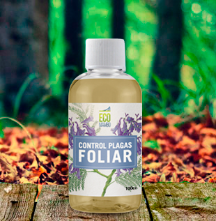 Ecomambo – Control Plagas Foliar