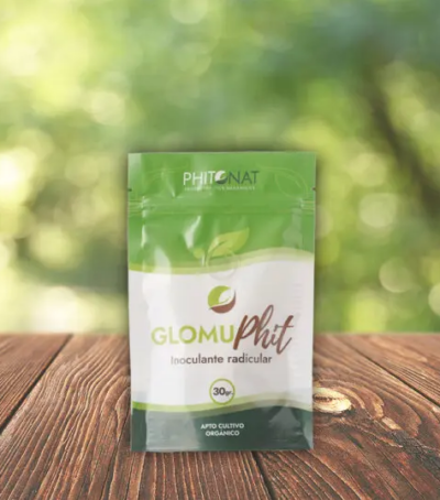 imagen de glomu phit