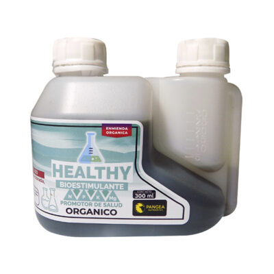 Pangea – Healthy