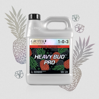 Grotek – Heavy Bud Pro