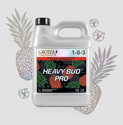 imagen de heavy bud pro