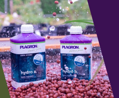Plagron - Hydro A + B