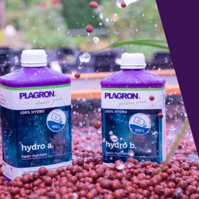 Plagron – Hydro A + B