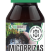 imahen de micorrizas bioproyect