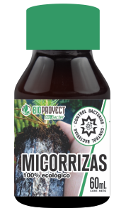 Bioproyect – Micorrizas
