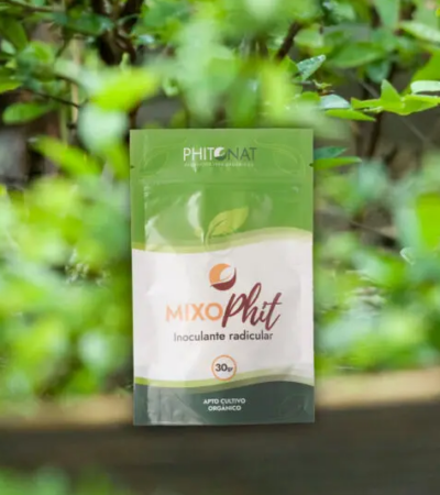 imagen de mixo phit