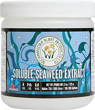 Algas Soluble Seaweed Extract