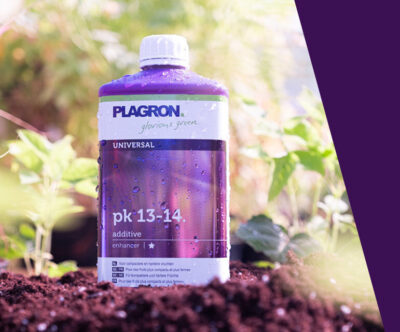 Plagron - Pk 13 / 14