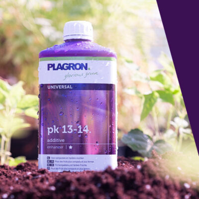 Plagron – Pk 13 / 14