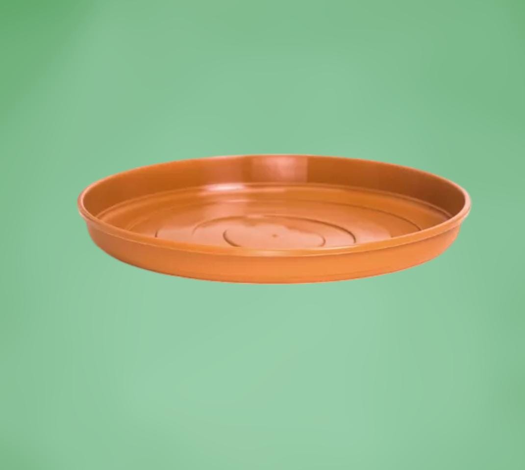 imagen de plato redondo para maceta