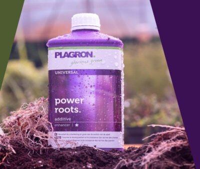 Plagron - Power Roots