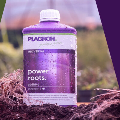 Plagron – Power Roots