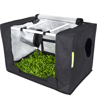 Garden Highpro – Carpa Probox Indoor Propagator