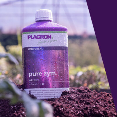 Plagron – Pure Zym