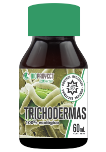 Bioproyect – Trichodermas