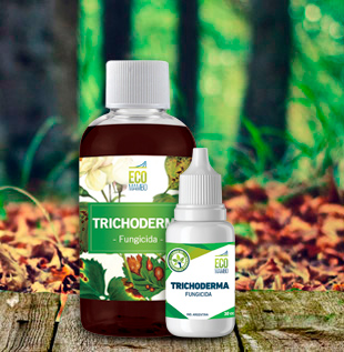 Ecomambo – Trichodermas