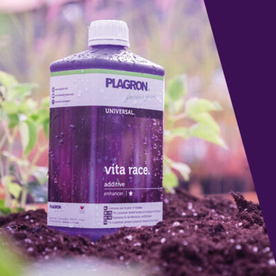 Plagron – Vita Race