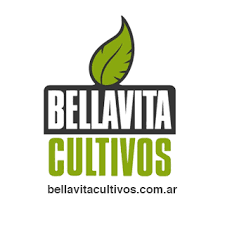 Bellavita