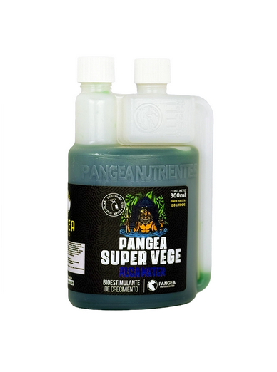 imagen de alga mater