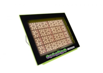 Growtech – Cogordo P1000
