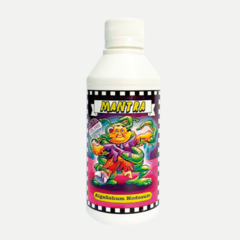 Mantra – Algafishum Nodosum