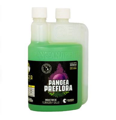 Pangea – Bloom Starter