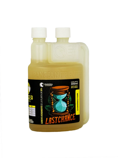 imagen de last chance