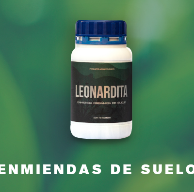 Skog – Leonardita