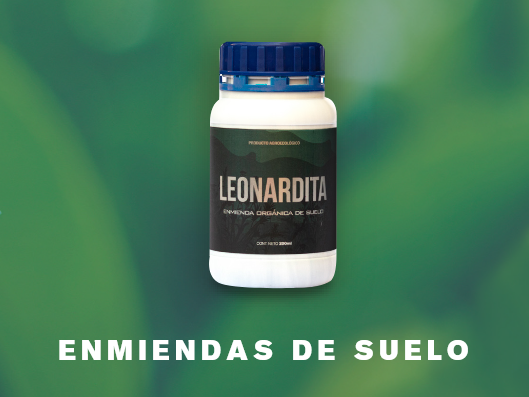 imagen de Skog - Leonardita