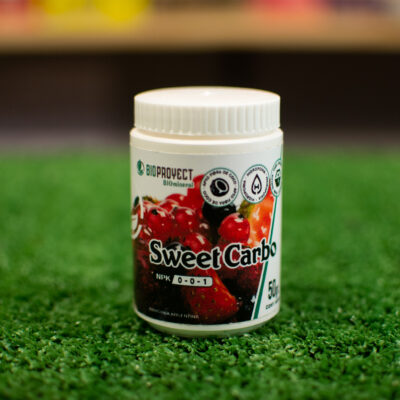 Bioproyect – Sweet Carbo
