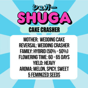 Imagenes de Cake Crasher